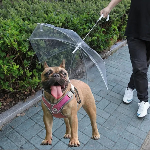 Transparent Dog Umbrella With Leash And Long Handle