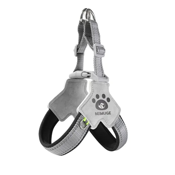 Y-Chest Dog Harness Lead
