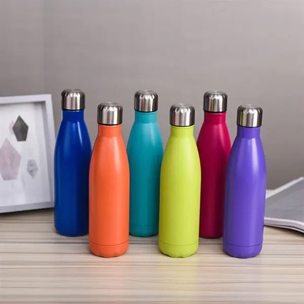 17oz Stainless Steel Water Bottle Double Walled