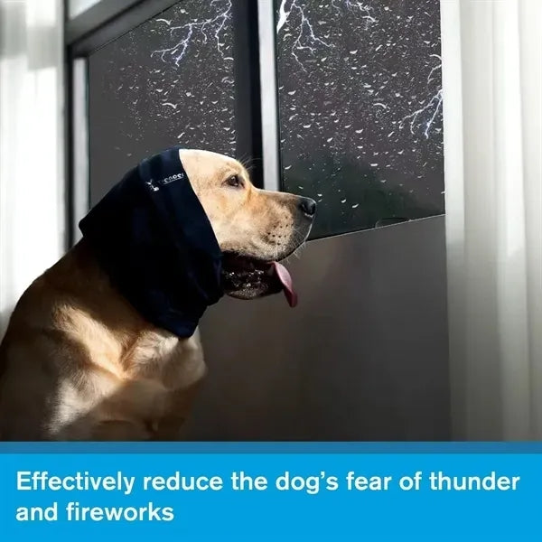 Dog Calming Hoodie