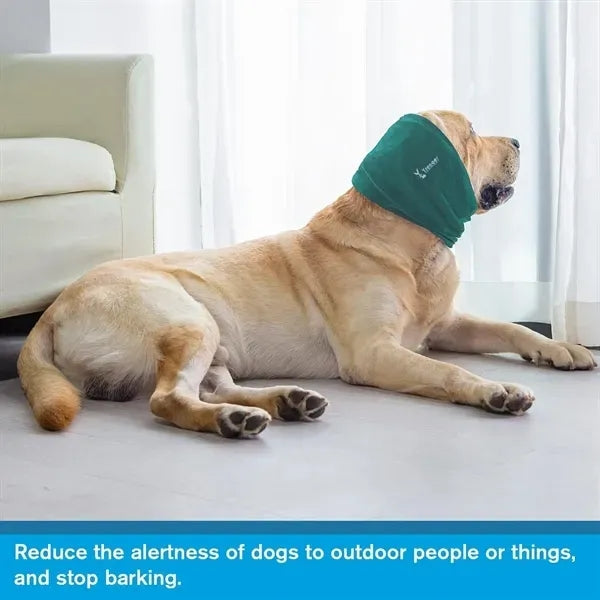 Dog Calming Hoodie