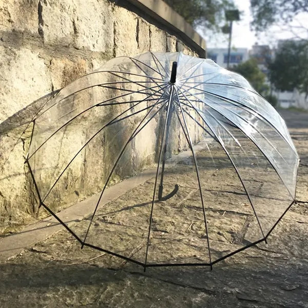 Clear Long-handled Transparent Umbrella