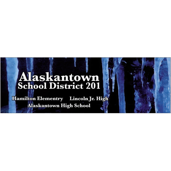 11.5" x 3.75" Bumper Sticker 4CP