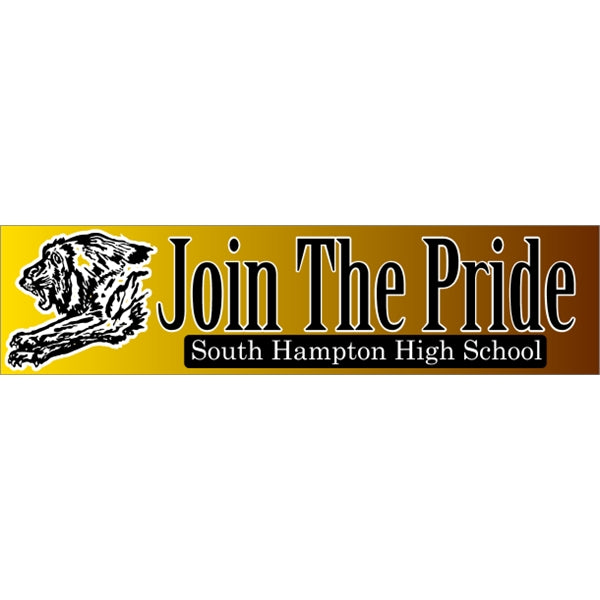 15" x 3.75" Bumper Sticker 4CP