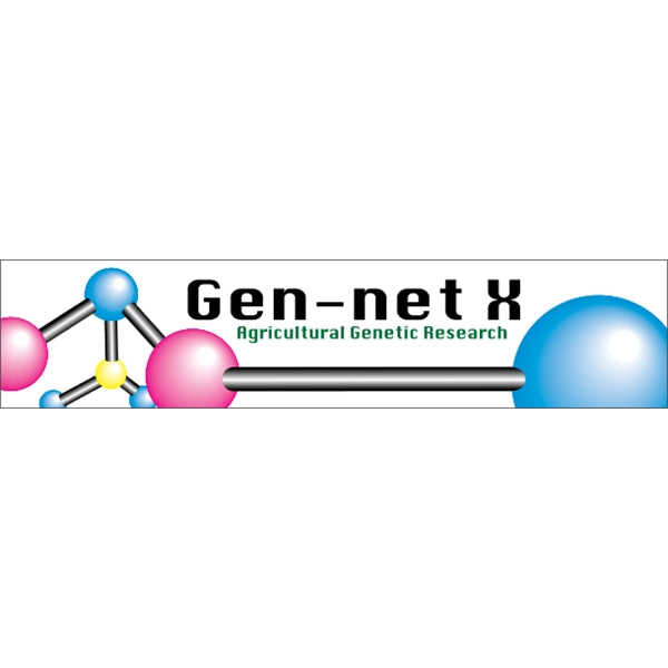 9.25" x 2.0625" Bumper Sticker 4CP