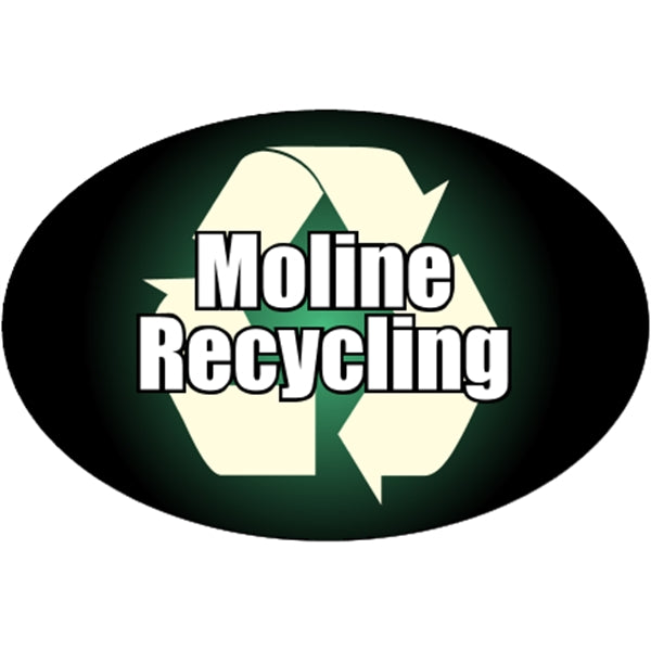 Oval - 6" x 4" Bumper Sticker 4CP