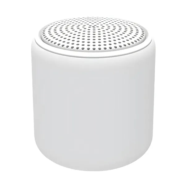 Portable wireless Bluetooth speaker