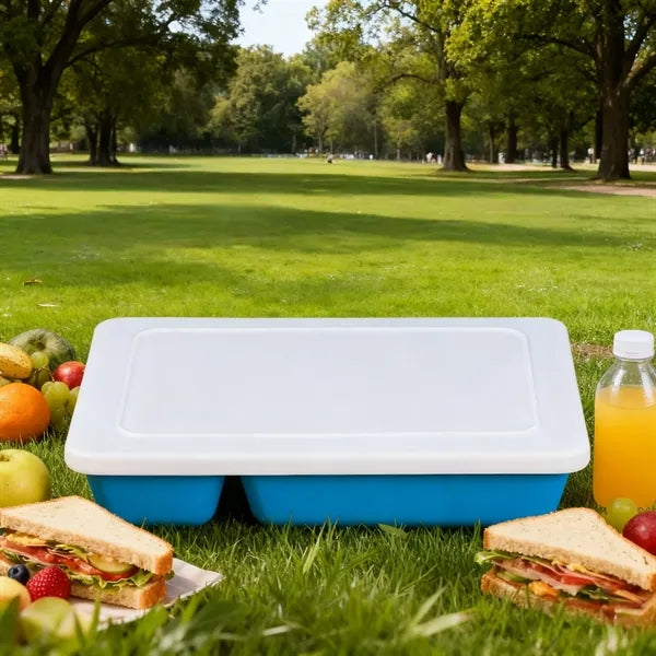 9in Four Compartment Fast Food Plate With White Lid