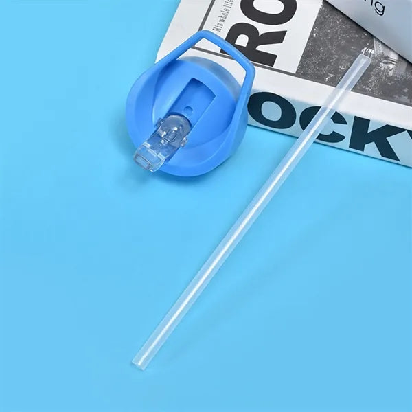 Water Bottle with Flip Straw Lid - 24 oz.