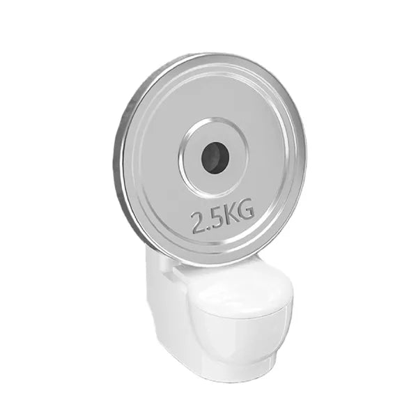 Wall Mounted Smokeless Ashtray with Flip Lid Storage
