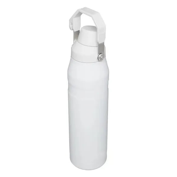 17oz Stainless Steel Insulated Mug with Offset Spout