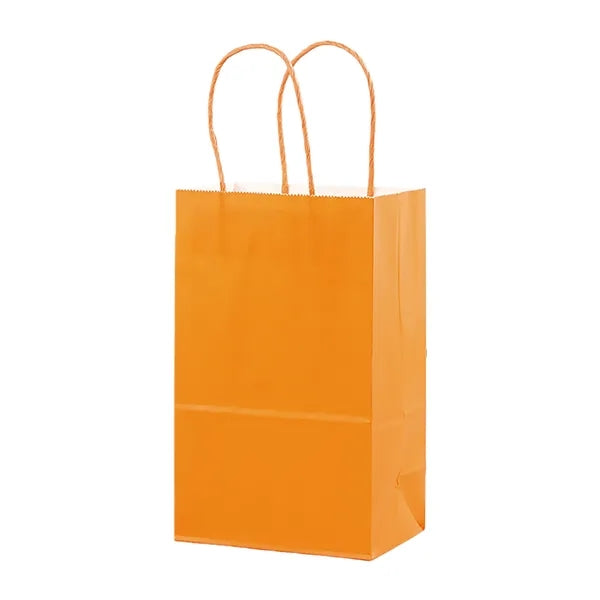 Kraft Paper Shopping Bag With Twisted Paper Handle Small Siz
