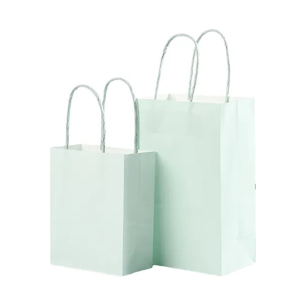 Kraft Paper Shopping Bag With Twisted Paper Handle Small Siz