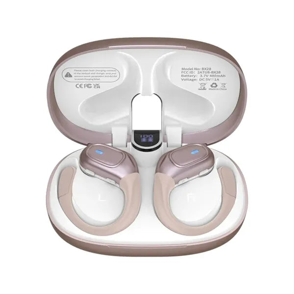 Wireless Earhooks