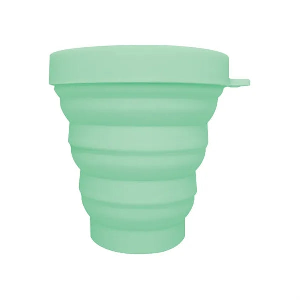 Collapsible Carabiner Pet Bowl