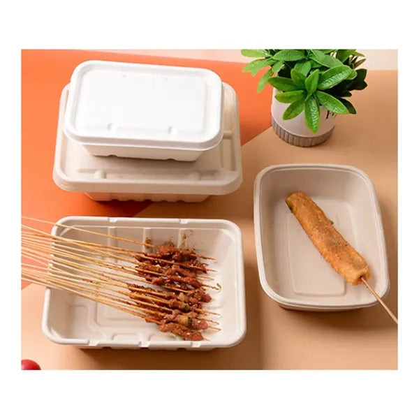 19oz Disposable Container
