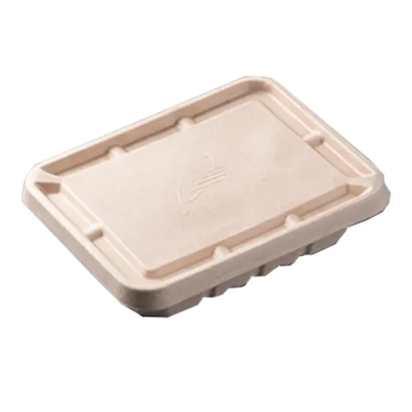 19oz Disposable Container