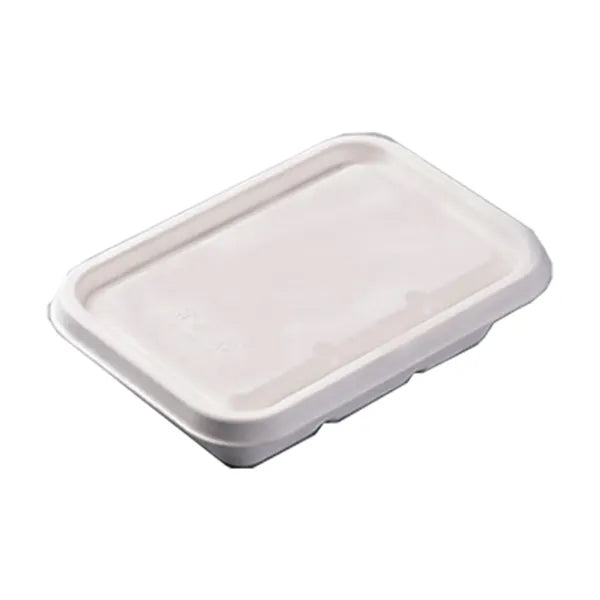 19oz Disposable Container