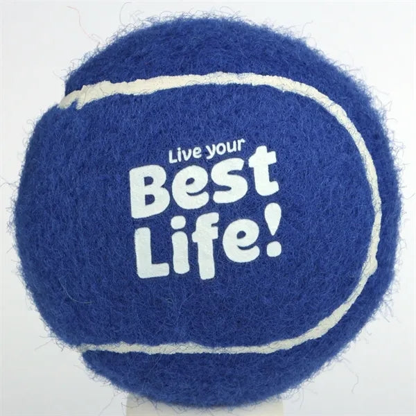 Logo Colorful Pet Tennis
