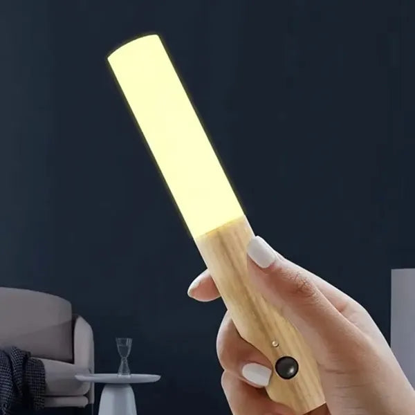 Intelligent induction LED light rechargeable magnet body