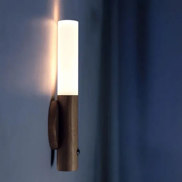 Intelligent induction LED light rechargeable magnet body