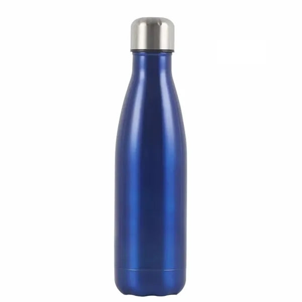 Stainless Coke bottle