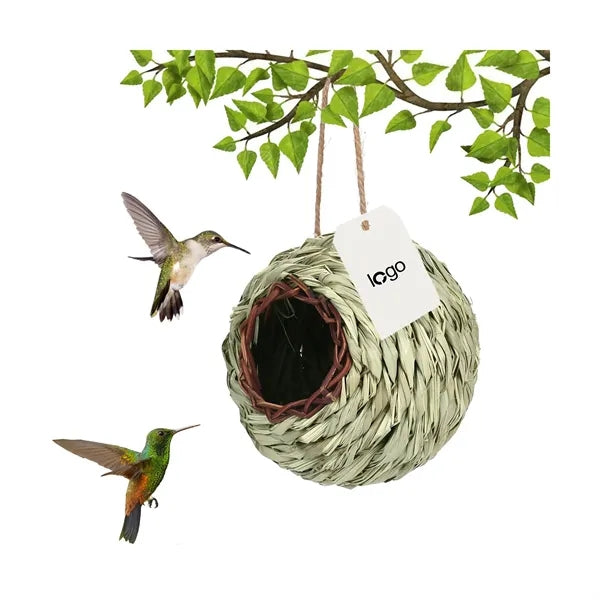 Humming Bird Nest