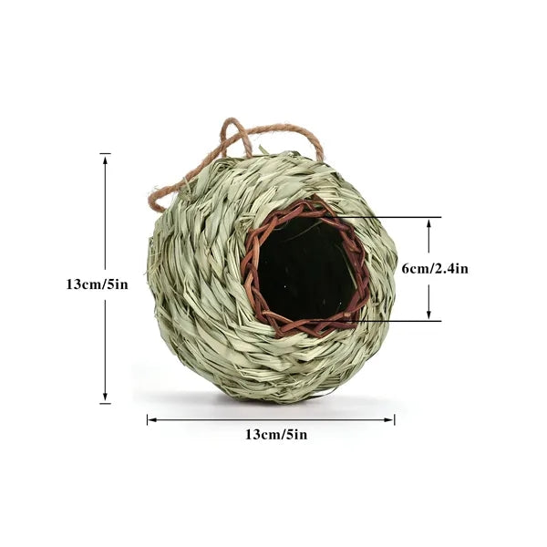Humming Bird Nest