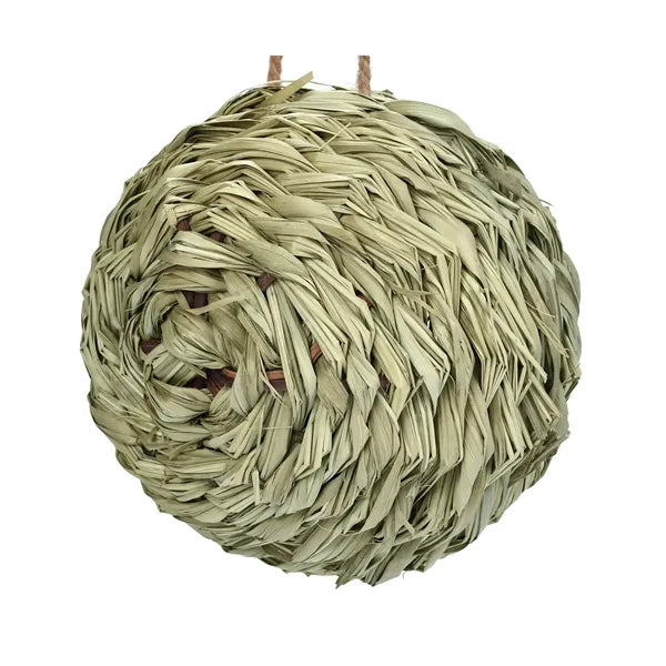 Humming Bird Nest