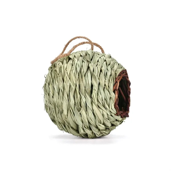 Humming Bird Nest