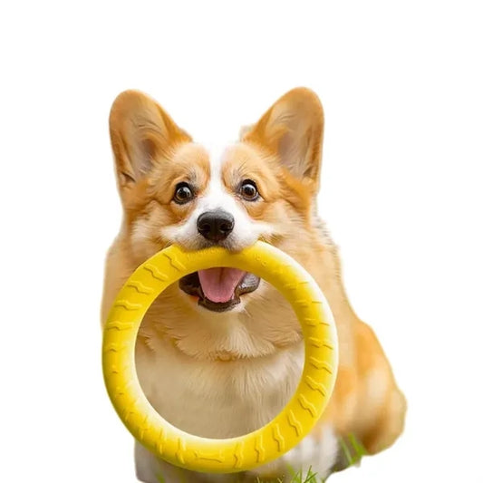 Pet Frisbee
