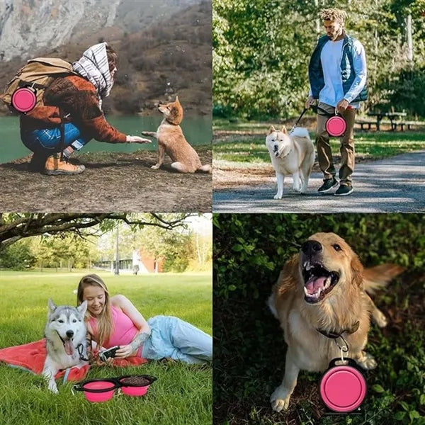 2in1 Collapsible Silicone Pet Travel Bowls with Carabiner