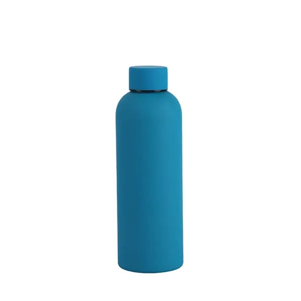 17oz Multi-colored Stainless Steel Water Cup