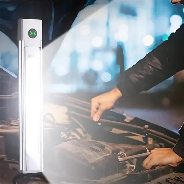 Multifunctional laser pointer flashlight