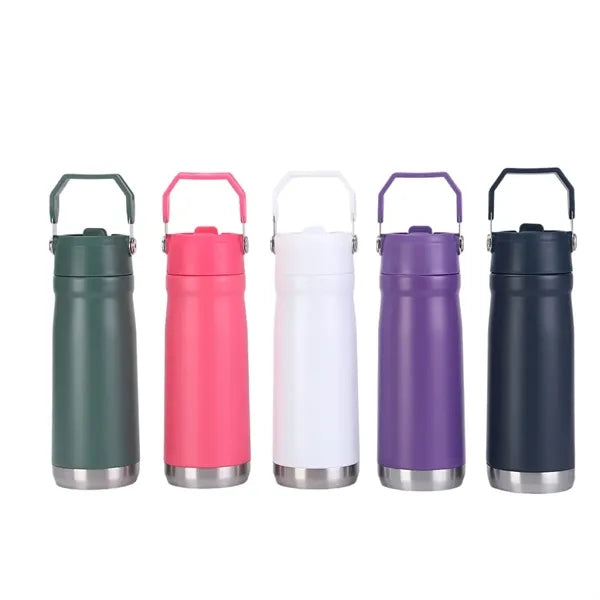 22oz Insulated Stainless Steel Travel Bottle with Flip Top