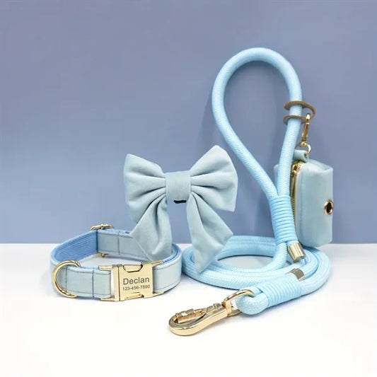 Engraved Adjustable Dog Collar and Leash Set