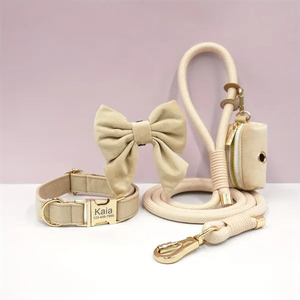 Engraved Adjustable Dog Collar and Leash Set