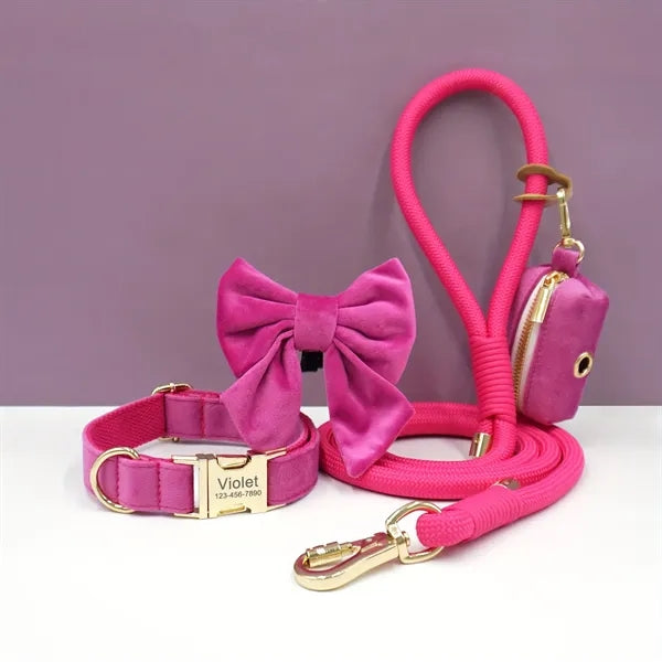 Engraved Adjustable Dog Collar and Leash Set