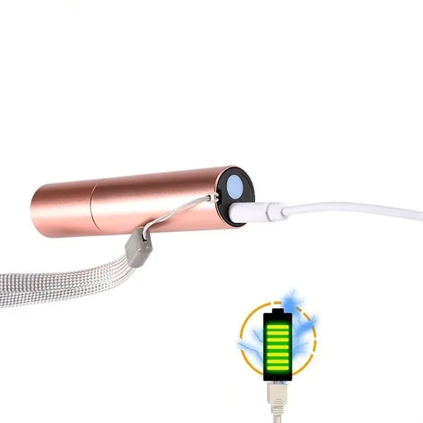 Portable Rechargeable Mini Led Flashlight High Brightness
