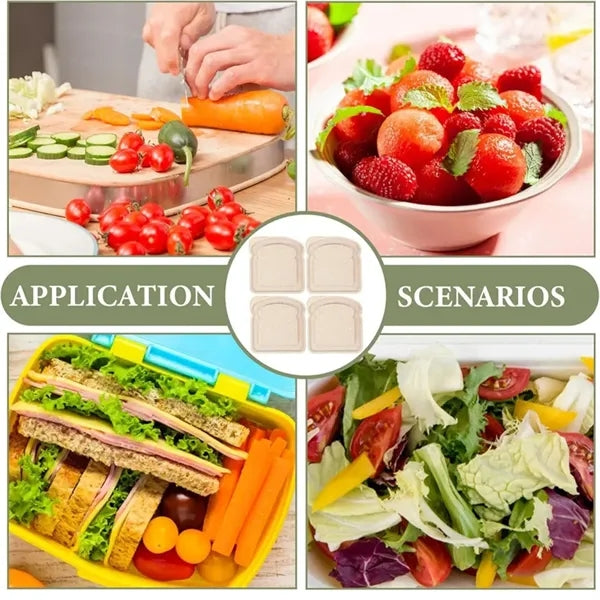 Eco-Friendly Lunch Box