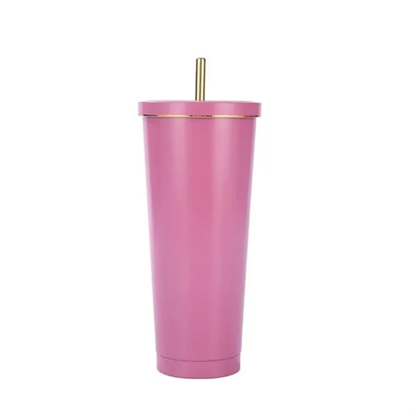 25oz Stainless Steel Vacuum Bottle with Straw