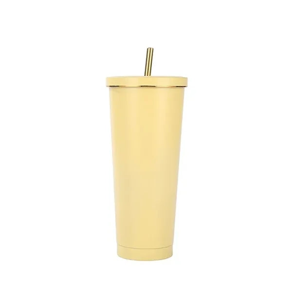 25oz Stainless Steel Vacuum Bottle with Straw