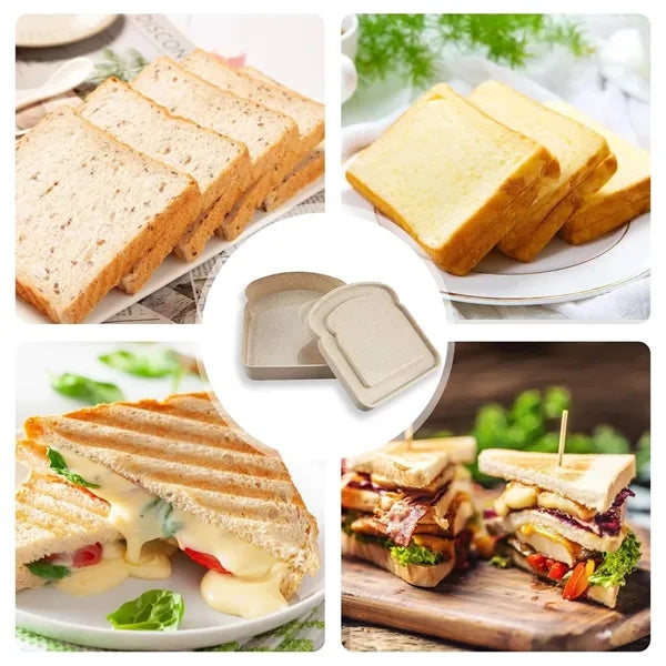 Versatile Sandwich Container for On-the-Go Meals
