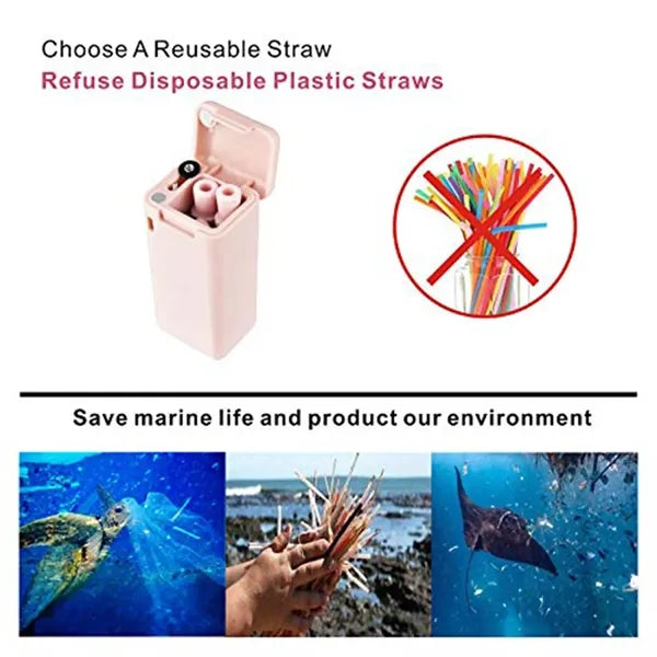 Collapsible Stainless Steel Straws Eco Friendly