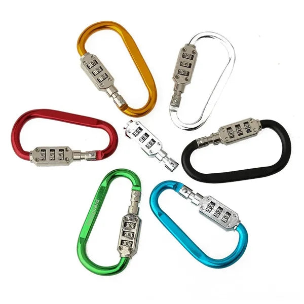 Securelink Large Carabiner Keychain