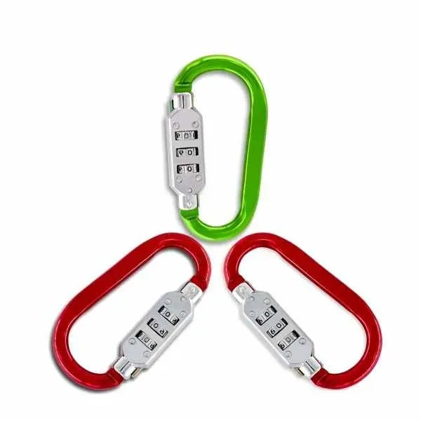 Securelink Large Carabiner Keychain