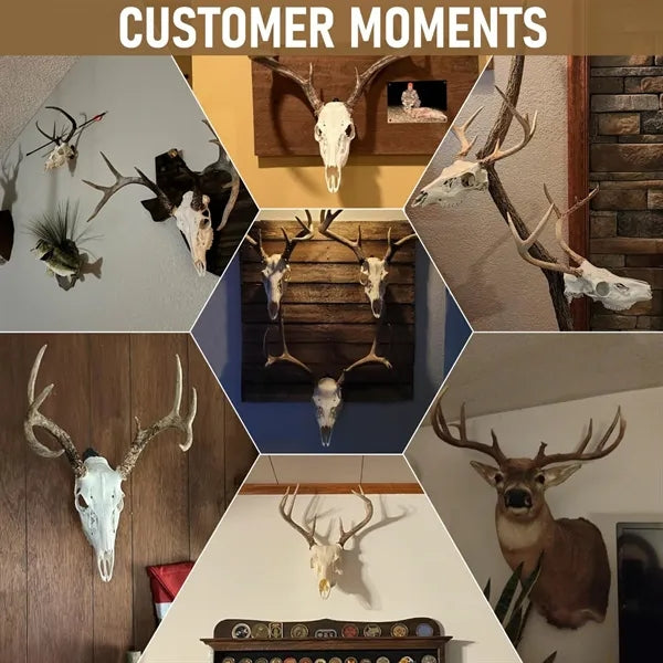 Heavy Duty Steel Skull Mount Hanger for Displays