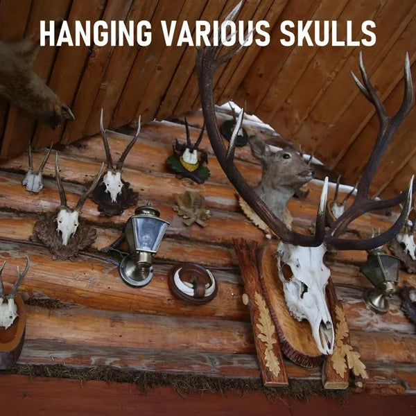 Heavy Duty Steel Skull Mount Hanger for Displays