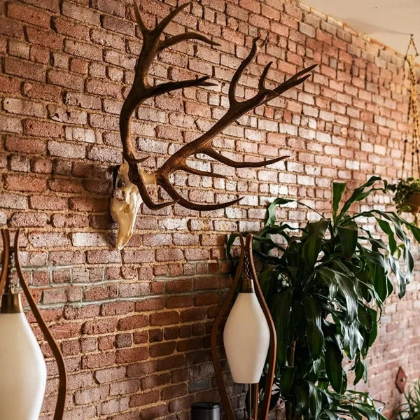Heavy Duty Steel Skull Mount Hanger for Displays