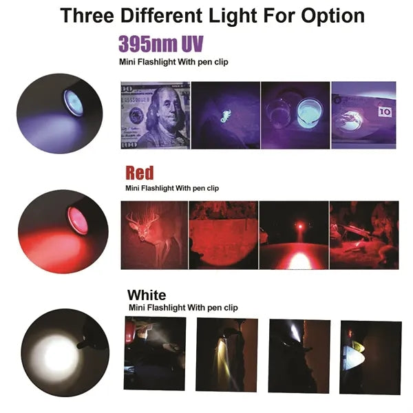 Mini LED Pocket Pen Light Flashlight